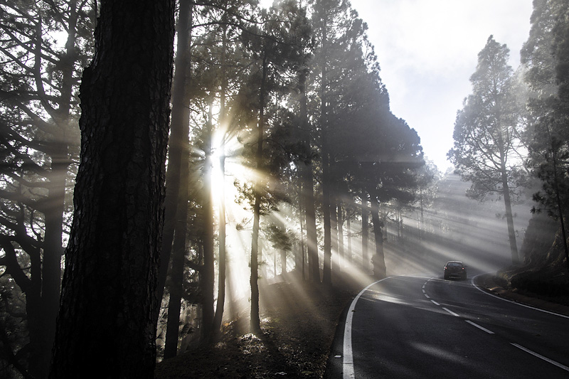 05.2.2012_Teide_129.jpg