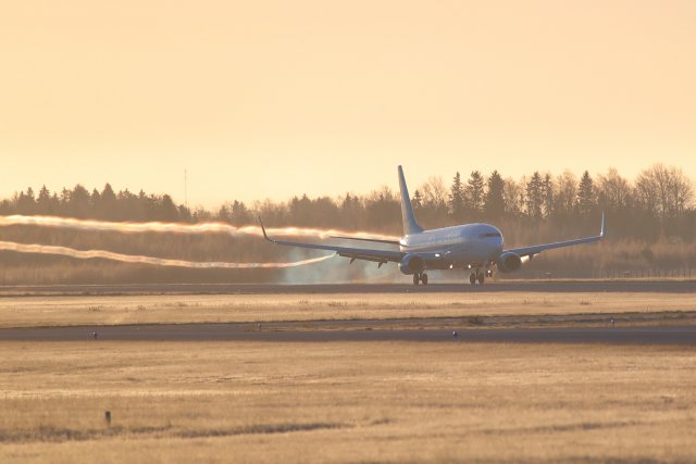 Corendon B737 TC-TJJ aamun aikaisessa valossa eilen