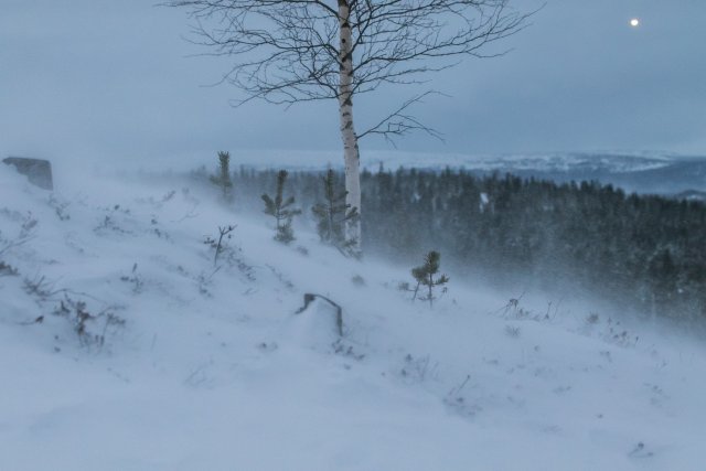 Kunnon myräkkä uudenvuoden ensimmäisenä päivänä.