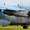 ZM406