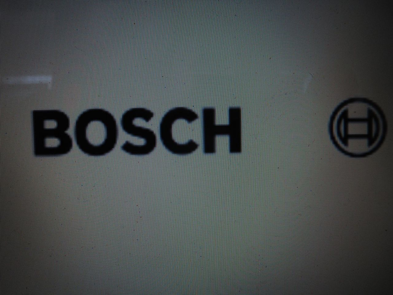 Bosch 2.JPG