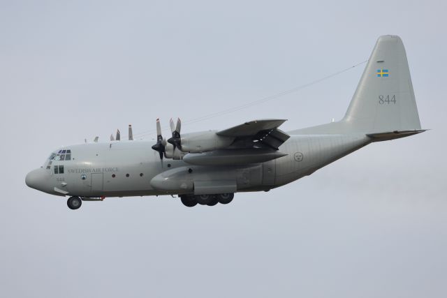 Lockheed Tp84 Hercules 84004  4.10.2021