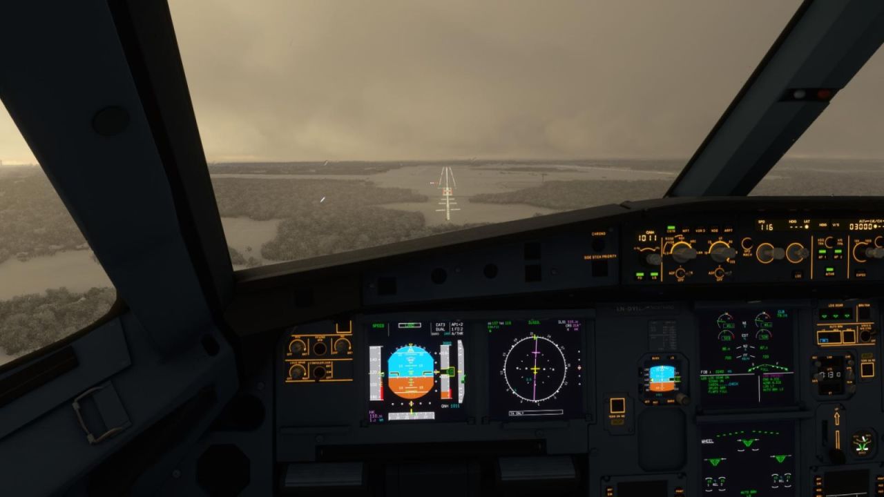 FlightSimulator 2022-01-26 12-13-11-09.jpg