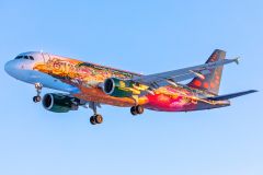 21.1. Brussels Airlines OO-SNF Tomorrowland maalauksessa