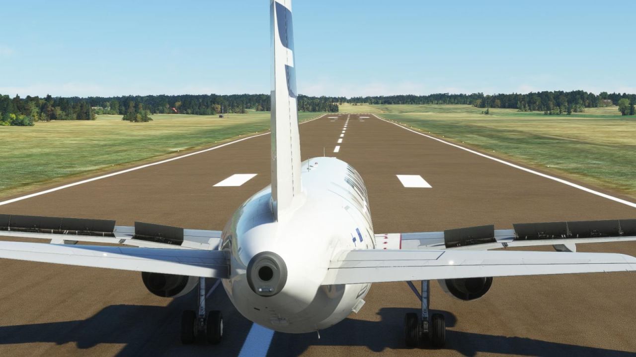 FlightSimulator 2022-06-03 11-24-23-96.jpg