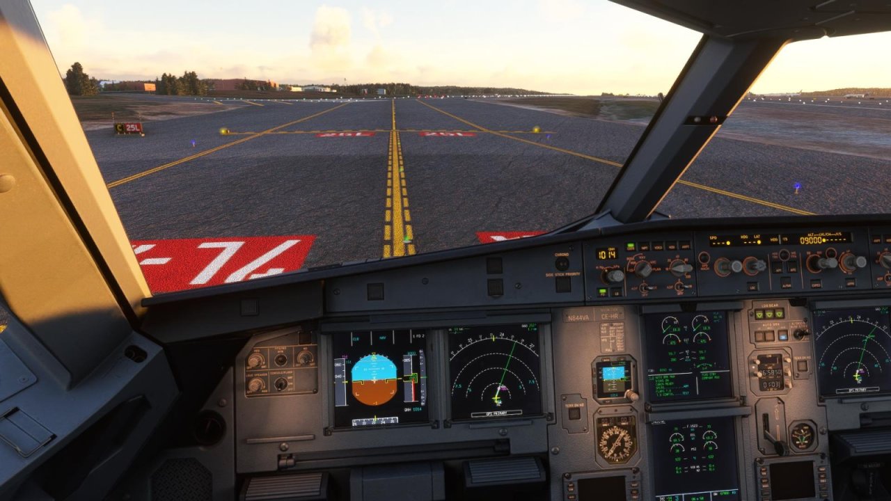 FlightSimulator 2022-06-17 09-58-52-03.jpg