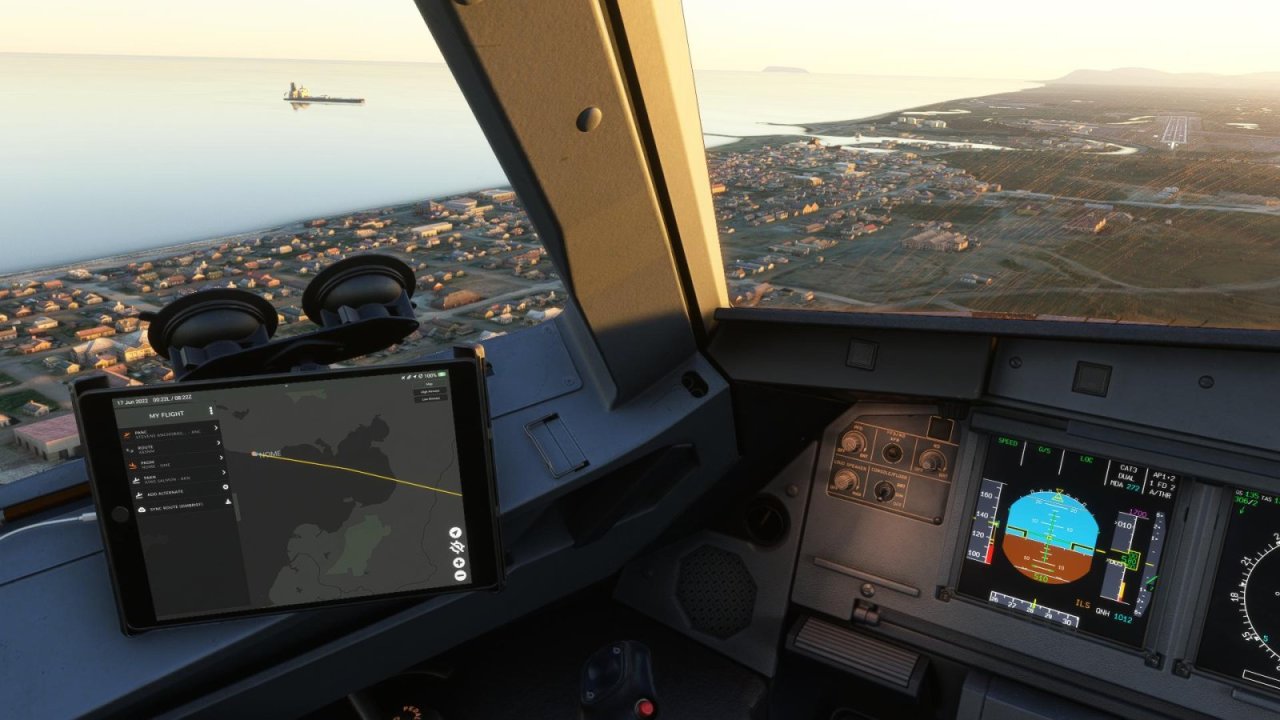 FlightSimulator 2022-06-17 11-22-43-02.jpg