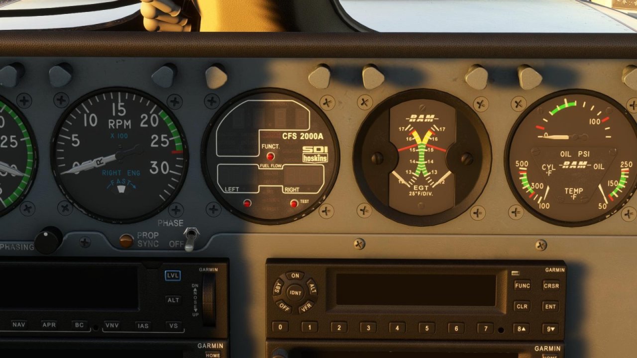 FlightSimulator 2022-10-14 10-32-00-45.jpg