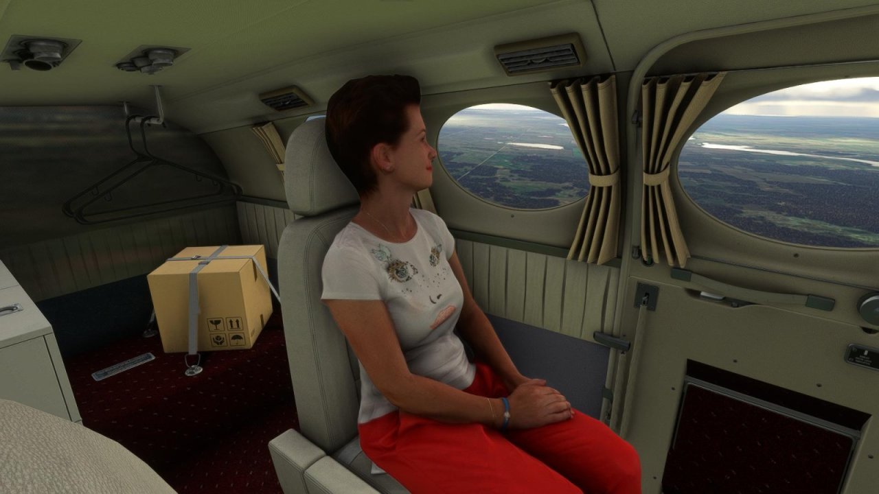 FlightSimulator 2022-10-23 13-41-51-13.jpg