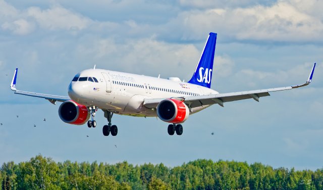 SE-DOY - Airbus A320-251N - SAS Scandinavian Airlines - 8.6.2023