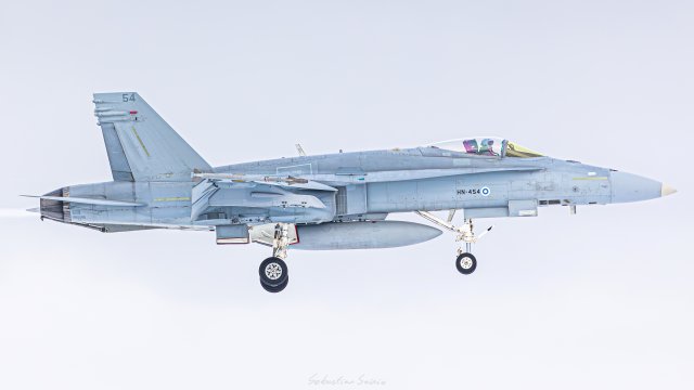 HN-454 - McDonnell Douglas F/A-18C Hornet - Ilmavoimat - 29.2.2024