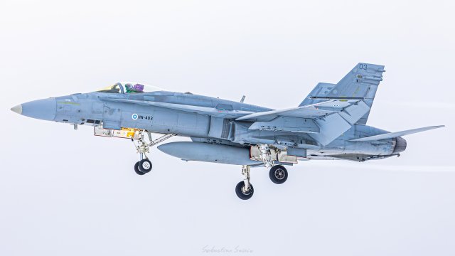 HN-403 - McDonnell Douglas F/A-18C Hornet - Ilmavoimat - 29.2.2024