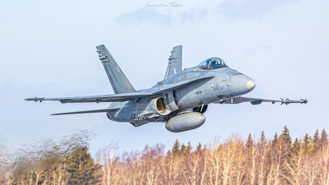 HN-453 - McDonnell Douglas F/A-18C Hornet - Ilmavoimat - 1.3.2024