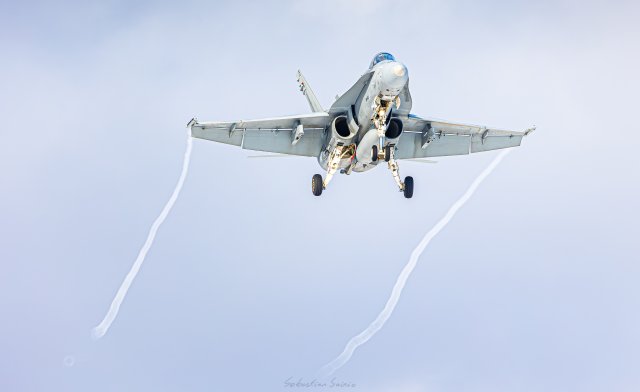 HN-409 - McDonnell Douglas F/A-18C Hornet - Ilmavoimat - 1.3.2024