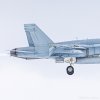 HN-454 - McDonnell Douglas F/A-18C Hornet - Ilmavoimat - 29.2.2024