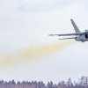 HN-453 - McDonnell Douglas F/A-18C Hornet - Ilmavoimat - 29.2.2024