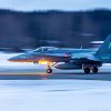 HN-403 - McDonnell Douglas F/A-18C Hornet - Ilmavoimat - 29.2.2024