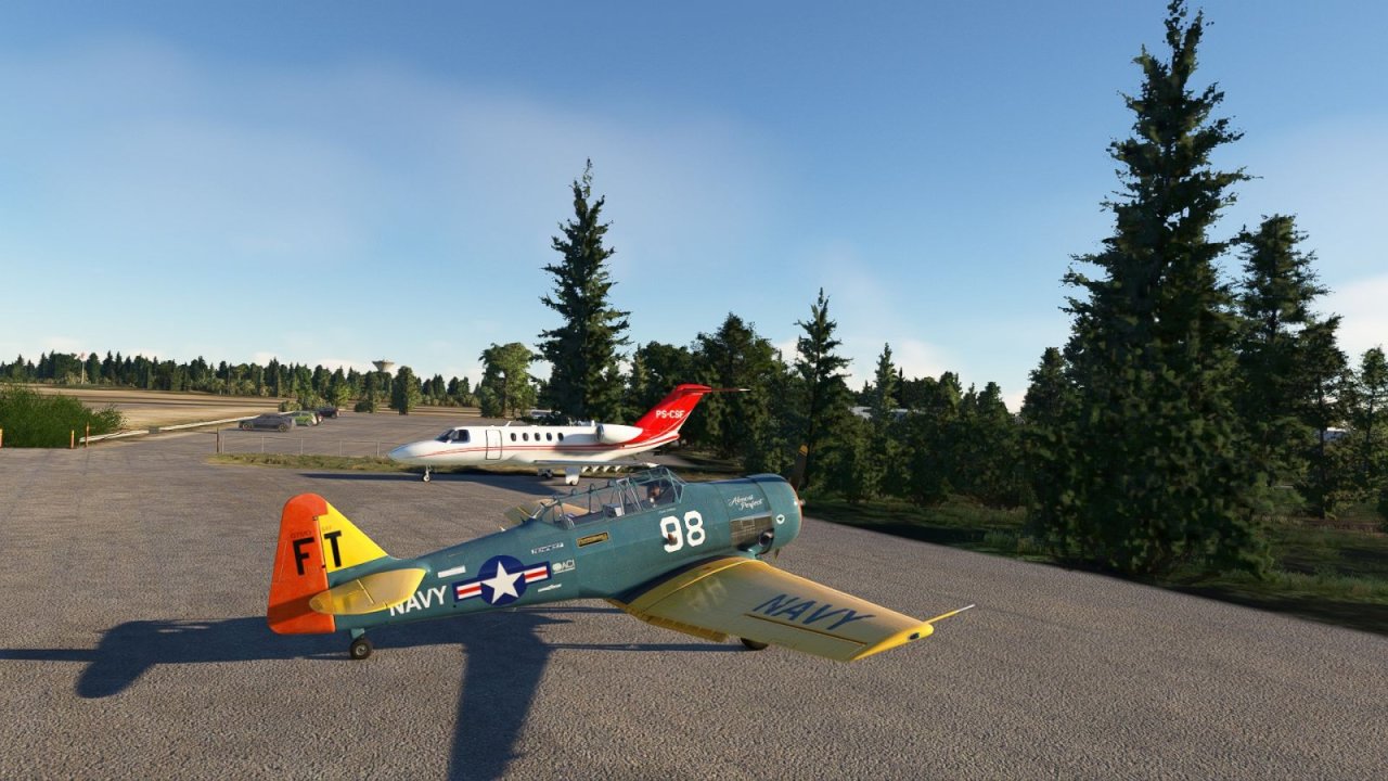 T-6.jpg